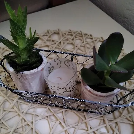 Bonbon Apartament